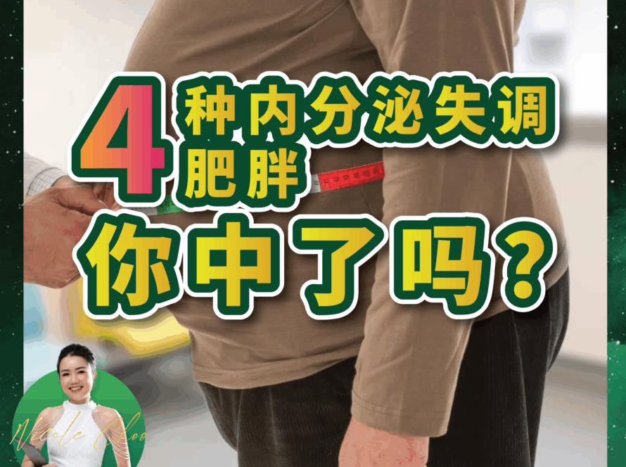 压力肥,内分泌失调,肾上腺型肥胖,甲状腺型肥胖,性腺型肥胖,肝功能型肥胖,DEqueME饮食法,谛确美饮食法,减肥方法,荷尔蒙平衡,健康减肥