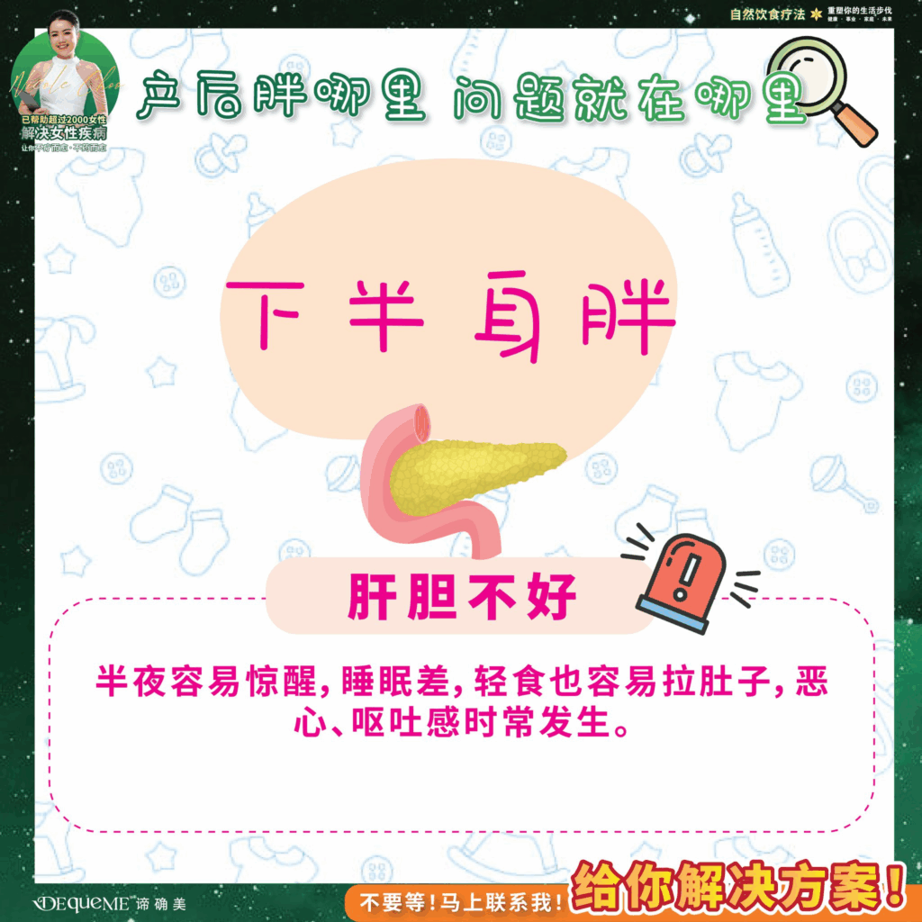 产后发胖, 产后水肿, 产后恢复, 产后身材变化, 上半身容易胖, 下半身囤脂, 产后肚子大, 水桶腰, 产后代谢下降, 产后饮食, DEqueME饮食法, DEqueME Balance Diet Plus, 谛确美饮食法, 产后瘦身, 产后健康管理, 产后激素变化,