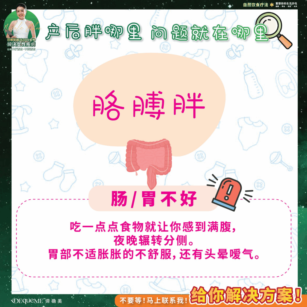 产后发胖, 产后水肿, 产后恢复, 产后身材变化, 上半身容易胖, 下半身囤脂, 产后肚子大, 水桶腰, 产后代谢下降, 产后饮食, DEqueME饮食法, DEqueME Balance Diet Plus, 谛确美饮食法, 产后瘦身, 产后健康管理, 产后激素变化,