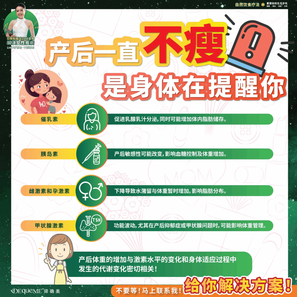 产后体重迟迟降不下,真正关键不是饮食不干净,而是激素波动。本文深入解析催乳素、胰岛素敏感性、雌激素、孕激素与甲状腺激素如何影响产后代谢,并分享 DEqueME饮食法 的结构饮食技巧,帮助妈妈健康瘦身与稳定状态。