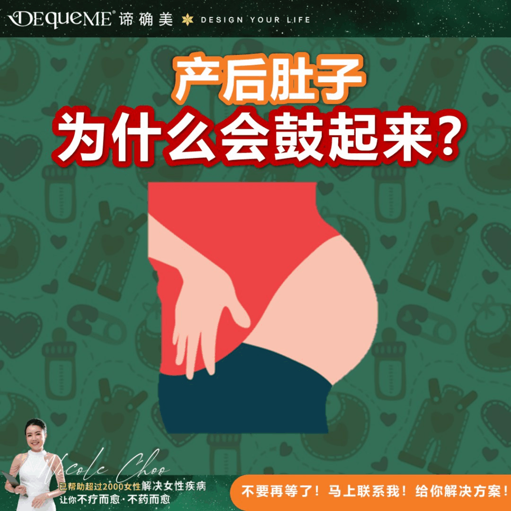 产后肚子为何依然鼓鼓?从筋膜松弛、腹内压力变化到积气问题,全面解析原因与改善方法。附 DEqueME饮食法的产后饮食建议,帮助你安全恢复紧致腹部。