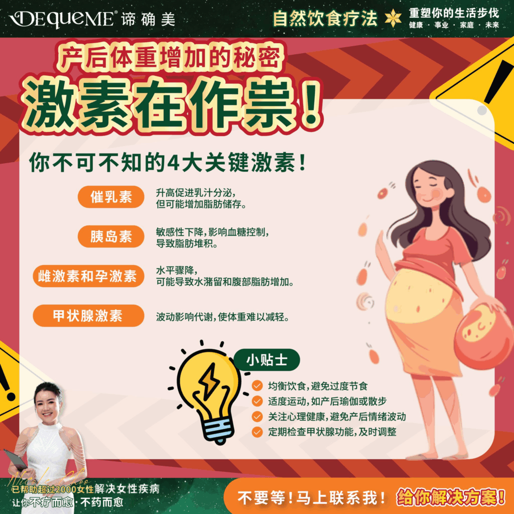 揭秘产后体重增加的幕后元凶!从催乳素到甲状腺,深度解析4种关键激素如何影响你的脂肪代谢与体态。停止盲目减肥,用【DEqueME Balance Diet Plus】找回健康与自信。